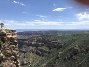 picture of a landscape vista in Utah